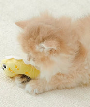 Load image into Gallery viewer, Dinosaur Style Cat Gall Fruit Self-play Toys, Set of Three, No Sound, Fun Cat Accessories Supply