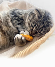 Load image into Gallery viewer, Silvervine Donut Cat Self-play Toys, Fun Cat Accessories Supply