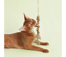 Load image into Gallery viewer, Cute and fun silvervine cat toys unique cat self play toys