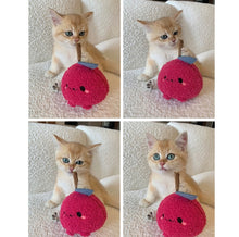 Load image into Gallery viewer, Cute vegetable style Silvervine cat toy
