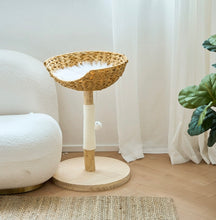 Load image into Gallery viewer, Cute Cat Tree, wooden cat tower, cat climbing tree cute cat furniture supplies accessories