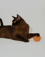 Load image into Gallery viewer, Pumpkin Style Catnip Self-play Toys, No Sound, Cute Cat Accessories Supply
