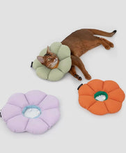Load image into Gallery viewer, Waterproof cute flower cute elizabeth collar for cats
