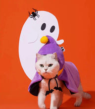Load image into Gallery viewer, Halloween cape for cats, cute unique fun warm winter cat appearance clothes supplies