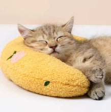 Load image into Gallery viewer, Teddy Fleece Cat Pillow, Cute Fun Cat Toys Supply Accessories