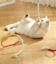 Load image into Gallery viewer, Twisted Rope Cat Toy with Gall Fruits, Set of Three, No Sound, Fun Cat Accessories Supply