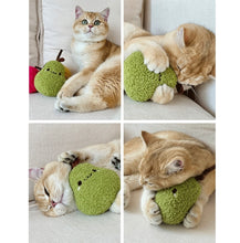 Load image into Gallery viewer, Cute vegetable style Silvervine cat toy