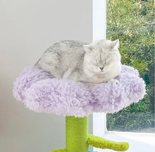 Load image into Gallery viewer, Cute flower cat tree, cat scratcher, tower cute and unique cat scratching post toys supplies
