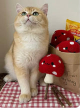 Load image into Gallery viewer, Potato Style Silvervine Cat Toys Unique catnip cat self play toys fun