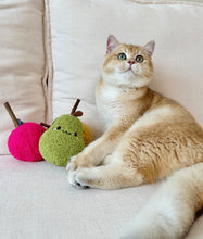 Load image into Gallery viewer, Cute vegetable style Silvervine cat toy