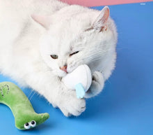 Load image into Gallery viewer, Cute animal style catnip toy, catmint toy, set of 4