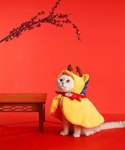 Load image into Gallery viewer, Funny dragon style winter warm cape for cat small dog and pets, cute fun Christmas Halloween costumes appearance clothes supplies