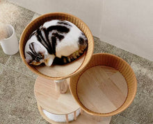 Load image into Gallery viewer, Cute Cat Tree, wooden cat tower, cat climbing tree cute cat furniture supplies accessories