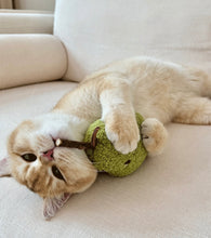 Load image into Gallery viewer, Cute vegetable style Silvervine cat toy