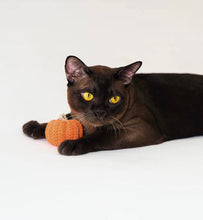 Load image into Gallery viewer, Pumpkin Style Catnip Self-play Toys, No Sound, Cute Cat Accessories Supply