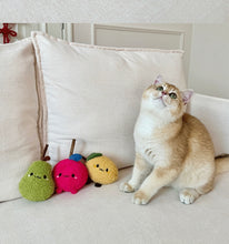 Load image into Gallery viewer, Cute vegetable style Silvervine cat toy
