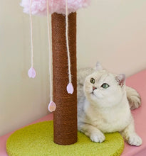 Load image into Gallery viewer, Cute flower style cat scratcher, scratching toys Post