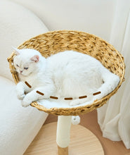 Load image into Gallery viewer, Cute Cat Tree, wooden cat tower, cat climbing tree cute cat furniture supplies accessories