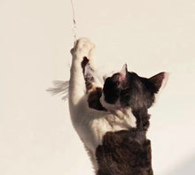 Load image into Gallery viewer, Handheld cute cat teaser, cat toy