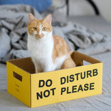 Load image into Gallery viewer, Corrugated Cardboard Cat Bed, cat scratcher, scratching box, cute unique fun four season bedding supplies toys