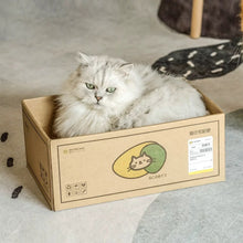 Load image into Gallery viewer, Cute Corrugated Cardboard Cat Bed, mail box style cat scratcher, scratching box, cute unique fun four season bedding supplies toys