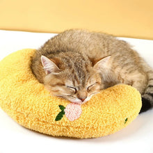 Load image into Gallery viewer, Teddy Fleece Cat Pillow, Cute Fun Cat Toys Supply Accessories