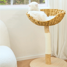 Load image into Gallery viewer, Cute Cat Tree, wooden cat tower, cat climbing tree cute cat furniture supplies accessories