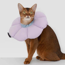 Load image into Gallery viewer, Waterproof cute flower cute elizabeth collar for cats