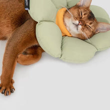 Load image into Gallery viewer, Waterproof cute flower cute elizabeth collar for cats