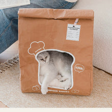 Load image into Gallery viewer, Fun Kraft Paper Cat Bed with Soft Cushion, Cute Unique Cat Supplies Accessories