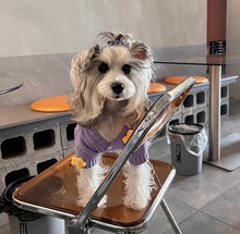 Load image into Gallery viewer, Cute cat & dog sweater, warm winter pet clothes outfit appearance