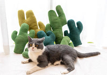 Load image into Gallery viewer, Cactus Style Catnip Self-play Toys, No Sound, Cute Cat Accessories Supply