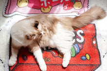 Load image into Gallery viewer, Soda Can Style Cat Litter Box Mat, Cute Unique Fun Cat supplies Accessories