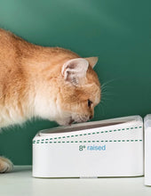 Load image into Gallery viewer, Cute cat feeding bowl, auto feeding station, automatic water dispenser and cat bowl set