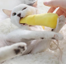 Load image into Gallery viewer, Bunny style cute fun unique soft cat dog pet winter and four seasons bed resting pad comfy