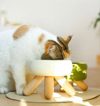 Load image into Gallery viewer, Raised ceramic cute fun unique cat dog pet feeding bowls supplies