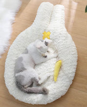 Load image into Gallery viewer, Bunny style cute fun unique soft cat dog pet winter and four seasons bed resting pad comfy
