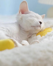 Load image into Gallery viewer, Bunny style cute fun unique soft cat dog pet winter and four seasons bed resting pad comfy