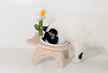 Load image into Gallery viewer, Raised flower cat dog pet feeding double bowls supplies cute fun unique
