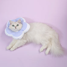 Load image into Gallery viewer, Waterproof Elizabeth collar for cats