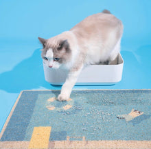 Load image into Gallery viewer, Swimming pool style cute cat litter mat fun unique cat waste box mat, doormat