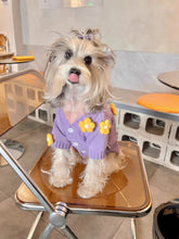 Load image into Gallery viewer, Cute cat & dog sweater, warm winter pet clothes outfit appearance
