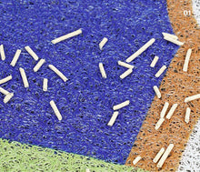 Load image into Gallery viewer, cute unique cat litter mat