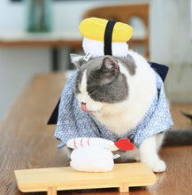 Load image into Gallery viewer, Sushi style catnip toy for cat