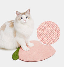 Load image into Gallery viewer, Cute Fruit Style Cat scratcher, cat toys, peach and citrus scratching post with suction cup