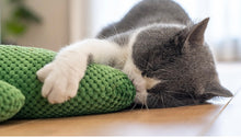 Load image into Gallery viewer, Cactus Style Catnip Self-play Toys, No Sound, Cute Cat Accessories Supply
