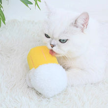 Load image into Gallery viewer, Beer Style Catnip Self-play Toys, No Sound, Cute Cat Accessories Supply