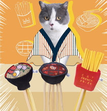 Load image into Gallery viewer, Chinese hotpot style cute cat teaser, unique catmint toy