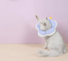Load image into Gallery viewer, Waterproof Elizabeth collar for cats