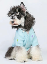 Load image into Gallery viewer, Cute cat &amp; dog sweater, warm winter pet clothes outfit appearance
